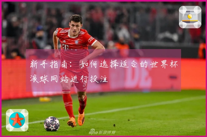 新手指南:如何选择适合的世界杯滚球网站进行投注
