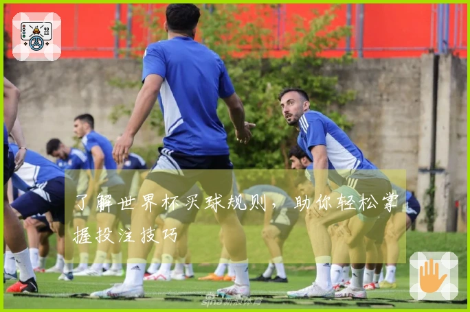 了解世界杯买球规则，助你轻松掌握投注技巧
