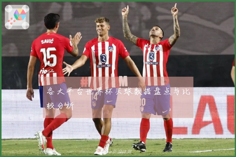 各大平台世界杯买球数据盘点与比较分析