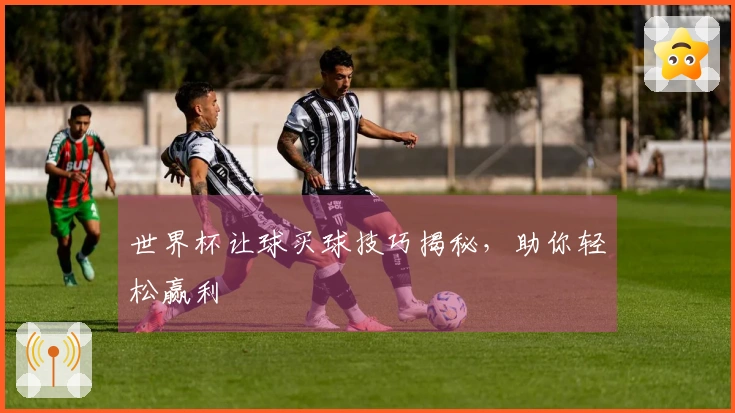 世界杯让球买球技巧揭秘，助你轻松赢利