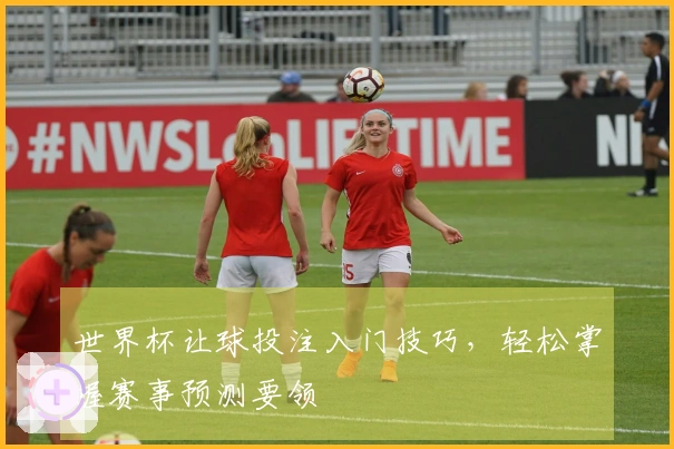 世界杯让球投注入门技巧，轻松掌握赛事预测要领