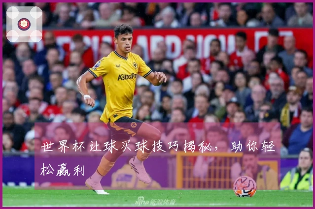 世界杯让球买球技巧揭秘，助你轻松赢利
