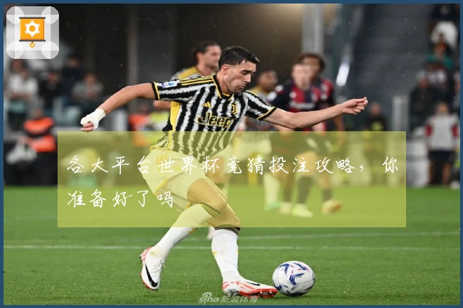 各大平台世界杯竞猜投注攻略，你准备好了吗
