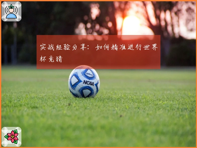 实战经验分享：如何精准进行世界杯竞猜