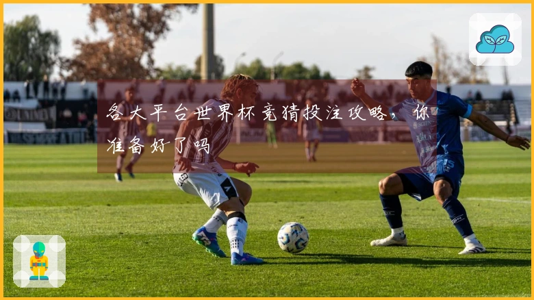 各大平台世界杯竞猜投注攻略，你准备好了吗